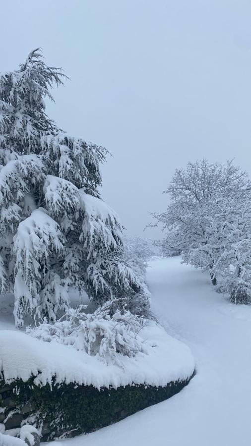 Case Crovina Salsomaggiore Terme Zewnętrze zdjęcie