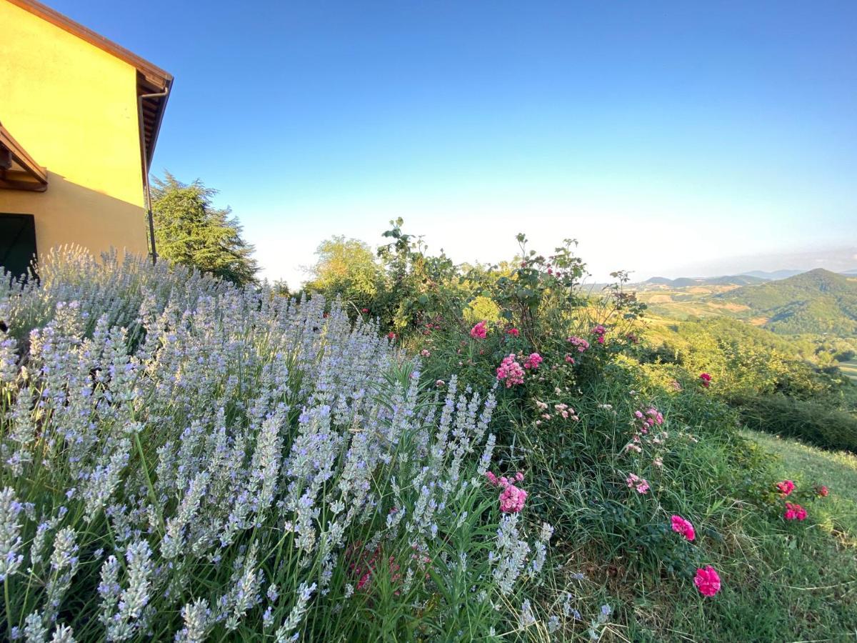 Case Crovina Salsomaggiore Terme Zewnętrze zdjęcie