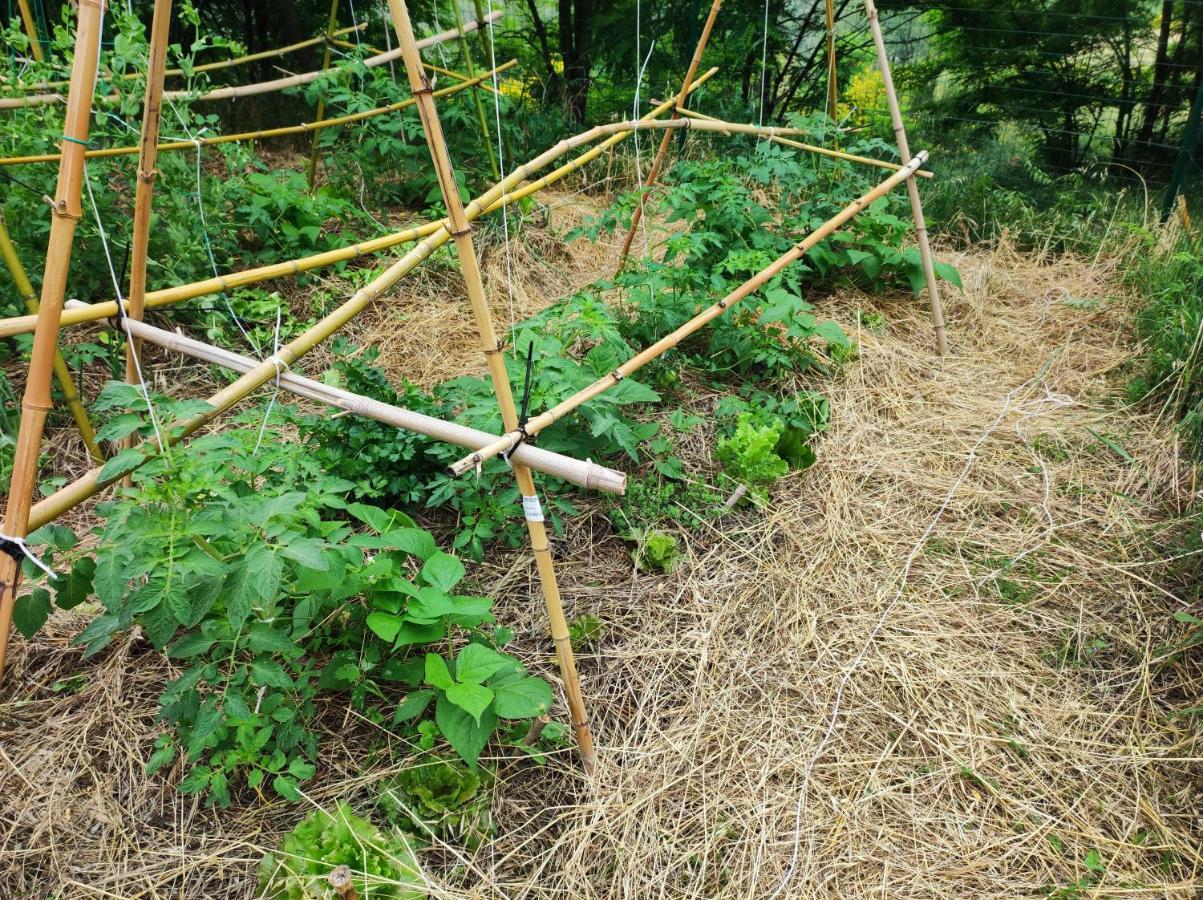 Case Crovina Salsomaggiore Terme Zewnętrze zdjęcie